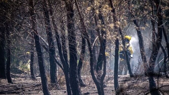 Un miembro del Infoca sofoca un incendio en la provincia de Huelva. Imagen de archivo.
