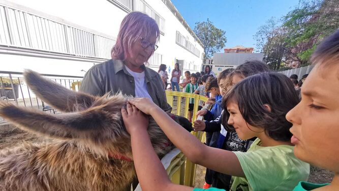 La entrañable visita de la Burrita Leonor a los niños del CEIP Doce de Octubre de Huelva