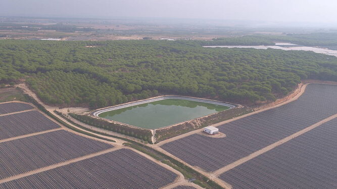 Imagen aérea de Doñana de WWF