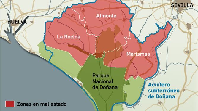 Masas de agua de Doñana afectadas. Fuente: WWF.