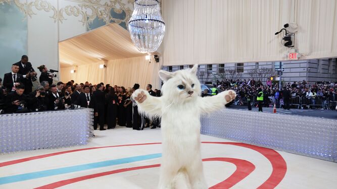 La gata Choupette, heredera de Karl Lagerfeld, vestido de Jared Leto en la MET Gala