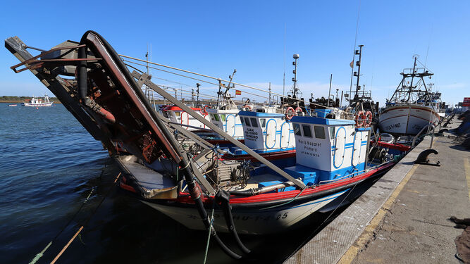 Punta Umbría lamenta "el ataque" de la UE a la pesca de arrastre y pide al comisario de Pesca que dimita
