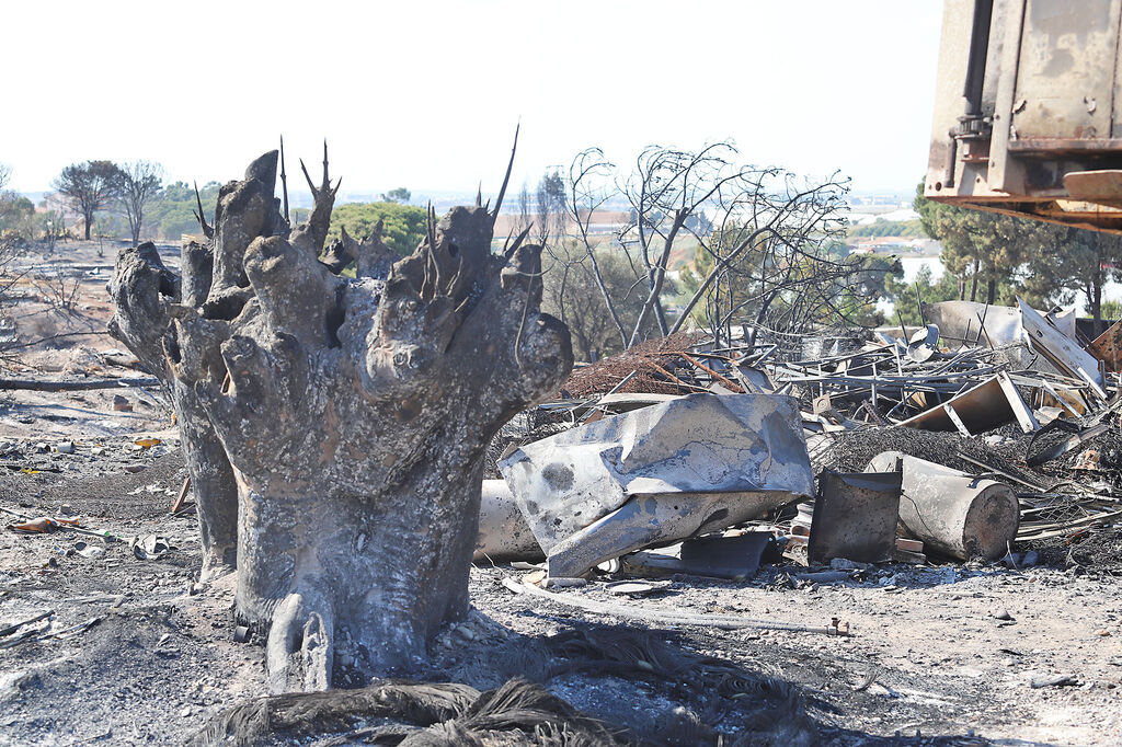 As&iacute; qued&oacute; el asentamiento de chabolas en Palos de la Frontera tras el incendio