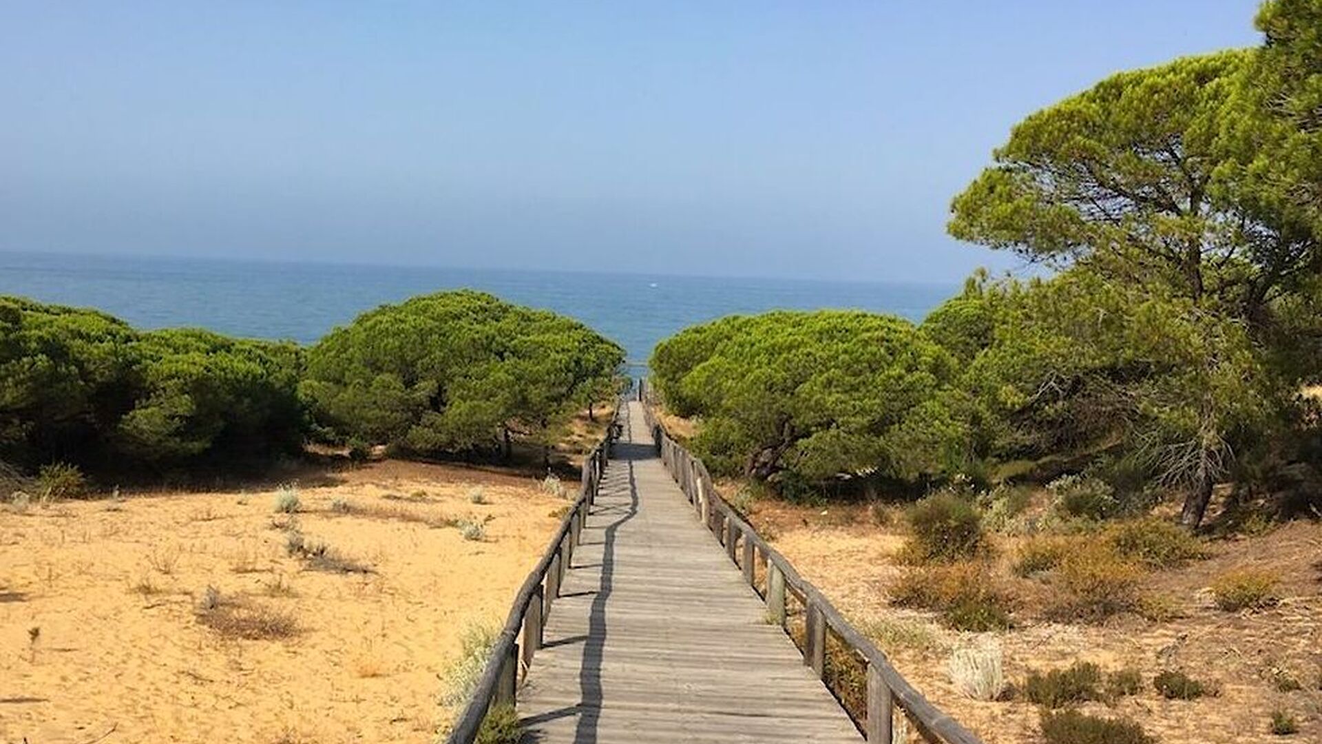Estos son los mejores senderos de Huelva que lucen la 'Bandera Azul'