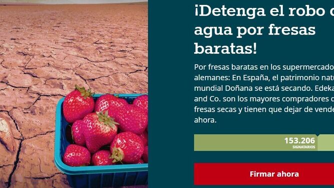 La campaña alemana que trata de reunir firmas contra la venta de frutos rojos de Huelva en los supermercados germanos