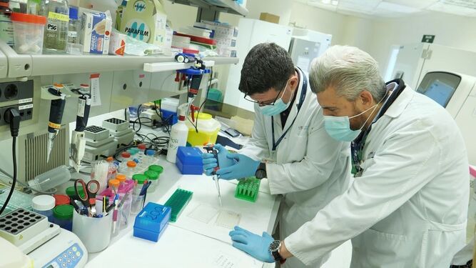 Investigadores del hospital 12 de Octubre participan en el ensayo de un tratamiento contra un tipo de tumor cerebral.