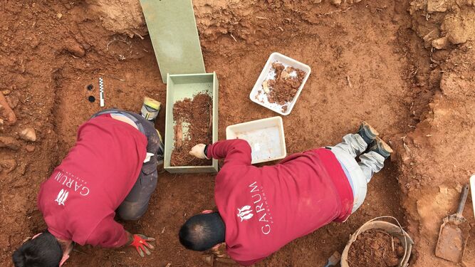 Trabajos de exhumación en la fosa común de Nerva.