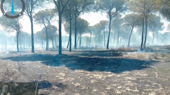 Extinguido el incendio de Bonares que ha afectado a 5,7 hectáreas
