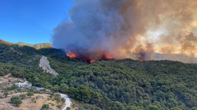 Incendio Doñana en 2017