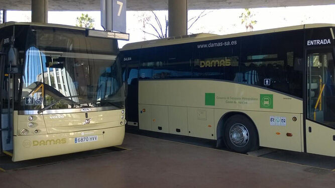 Autobuses del Consorcio de Transportes Metropolitano de la Costa de Huelva