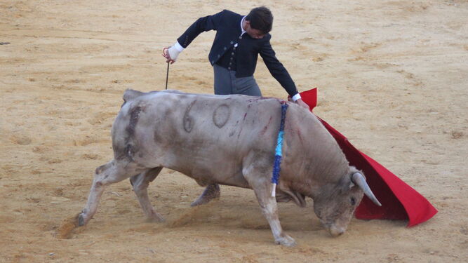 Toros Huelva: Luque, Bastos y un serio jabonero de Prieto de La Cal en Almonte
