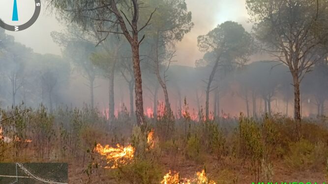 El incendio sigue activo en el paraje de Malpica en Cartaya.
