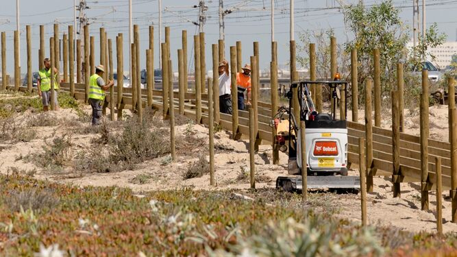 Operarios trabajando en la instalación de una de las pasarelas del Eurovelo 8 entre El Chato y Torregorda.