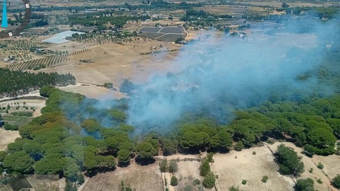 Infoca da por controlado el incendio del paraje El Porretal en Almonte