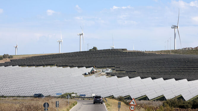 Placas solares y aerogeneradores rompen el paisaje de la campiña de Jerez.