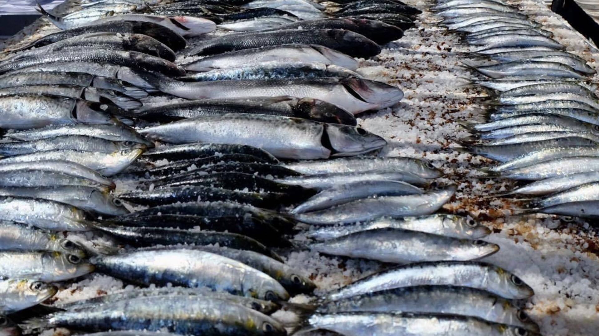 Cinco chiringuitos de Huelva donde comer las sardinas m&aacute;s frescas
