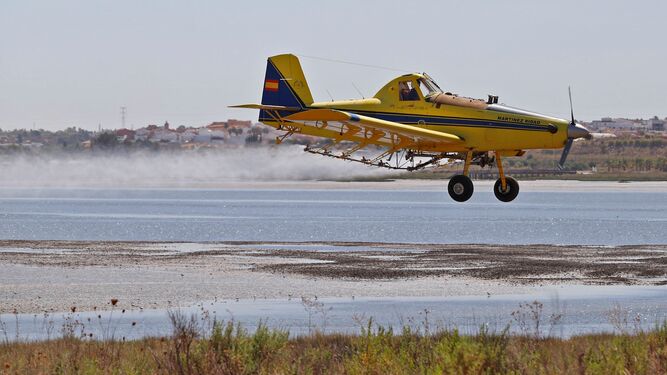 Una avioneta fumiga en la zona de las marismas de Huelva.