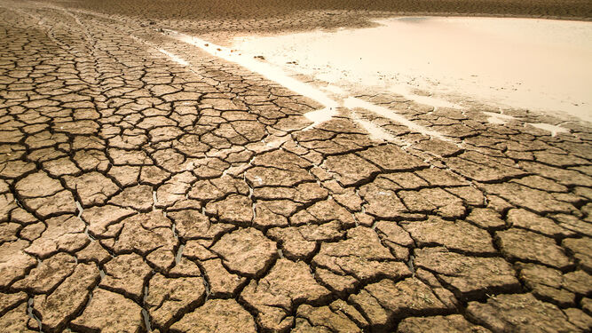 El entorno de Doñana afectado por la sequía