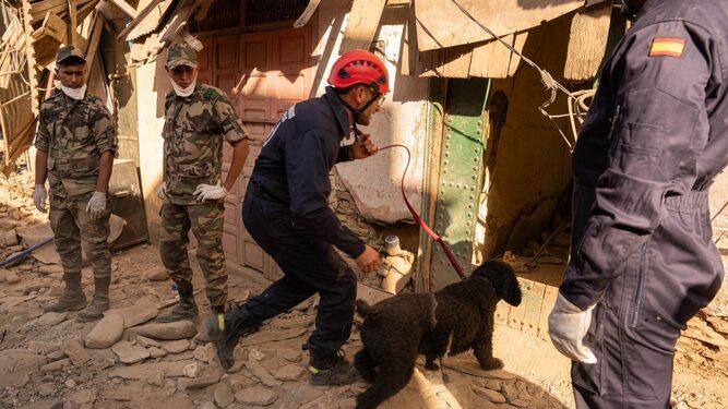 Bomberos de Huelva buscan vidas bajo los escombros.