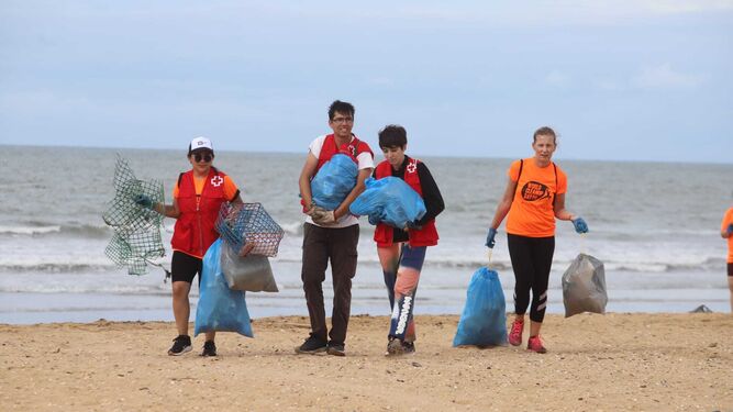 Los voluntarios participan limpiando la playa.
