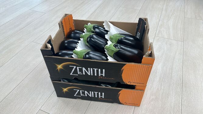 ZENITH, la marca que Mercophal llevará a Fruit Attraction.