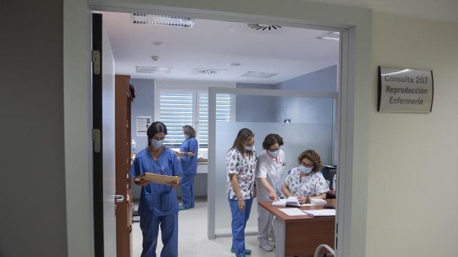 Personal sanitario en un centro hospitalario andaluz.