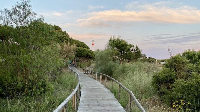 Este sendero accesible es uno de los más bonitos de la Costa de Huelva