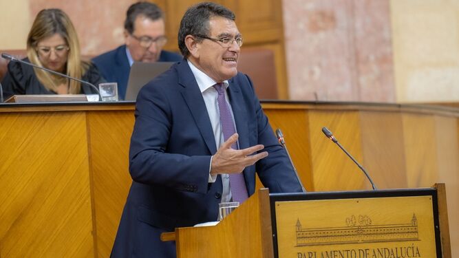 El parlamentario andaluz de Voz Rafael Segovia.