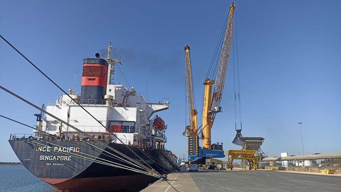 Descarga de harina ecológica en el Puerto de Huelva