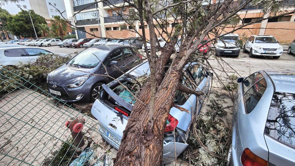 &Aacute;rboles ca&iacute;dos y coches atrapados: la triste imagen de Huelva tras el temporal