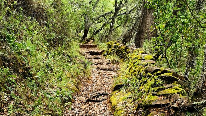 Descubre Fuente del Rey, uno de los más bellos senderos de la Sierra de Aracena
