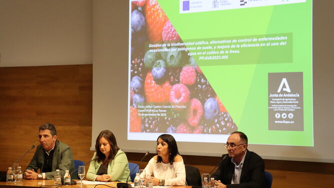 La presentación de los resultados de los ensayos con variedades de fresas.
