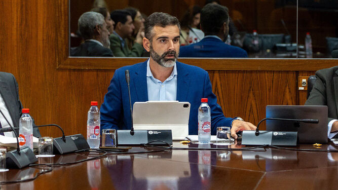 Fernández-Pacheco durante la Comisión de Presupuestos 2024 en el Parlamento de Andalucía.