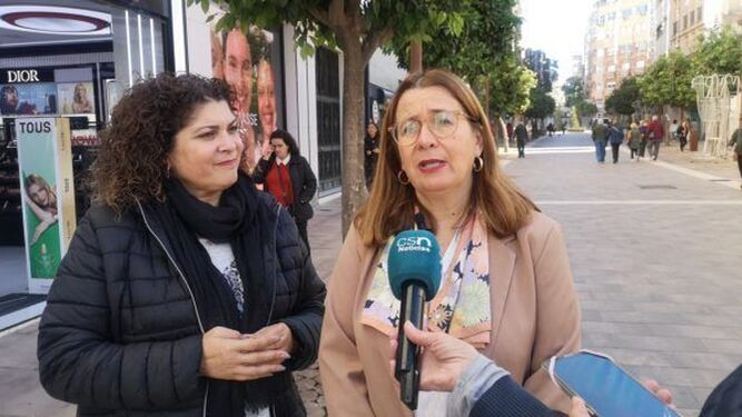 La diputada provincial del PSOE Rosa Tirador .