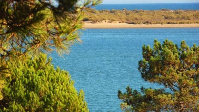 Playa y bosque: Uno de los miradores más bellos de Huelva
