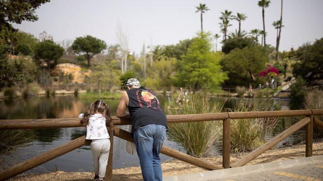 Un padre y su hija contemplan un lago del parque Celestino Mutis