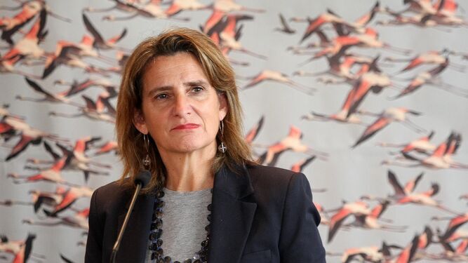 La vicepresidenta y ministra de Transición Ecológica, Teresa Ribera, durante la presentación del Acuerdo por Doñana.