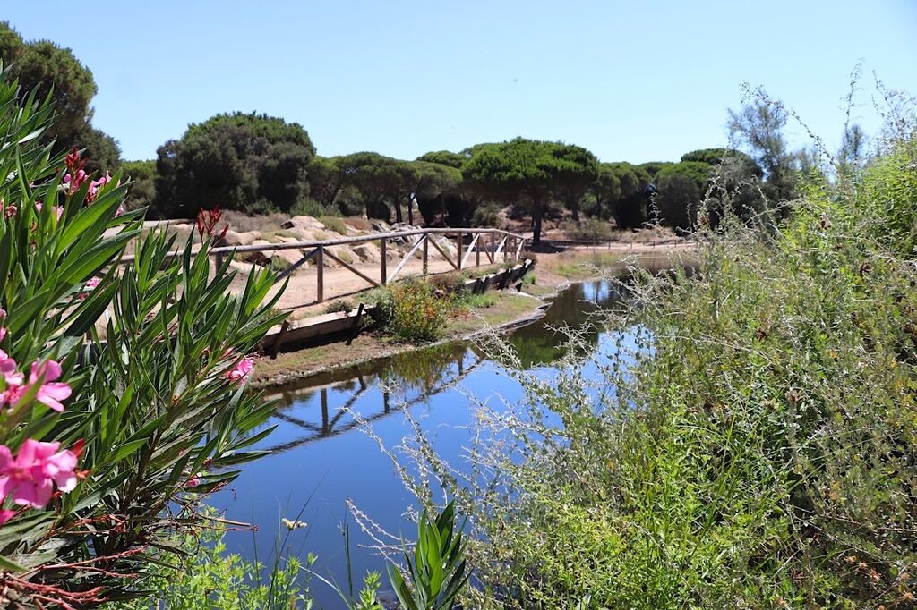 El jard&iacute;n poco conocido de Huelva que es una maravilla natural