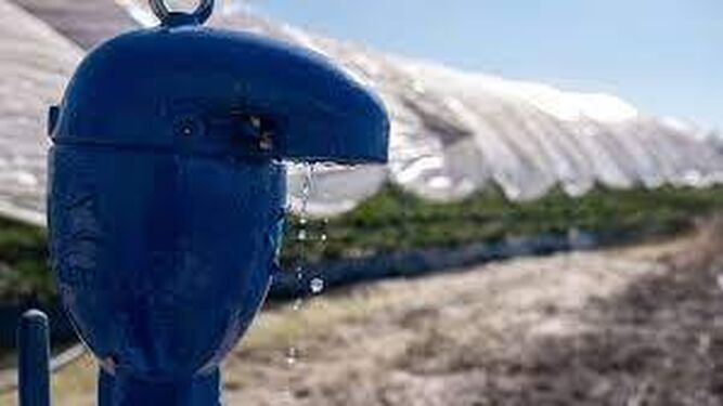 Regantes del Tinto-Odiel-Piedras reciben el 2024 con una restricción de agua del 50 %
