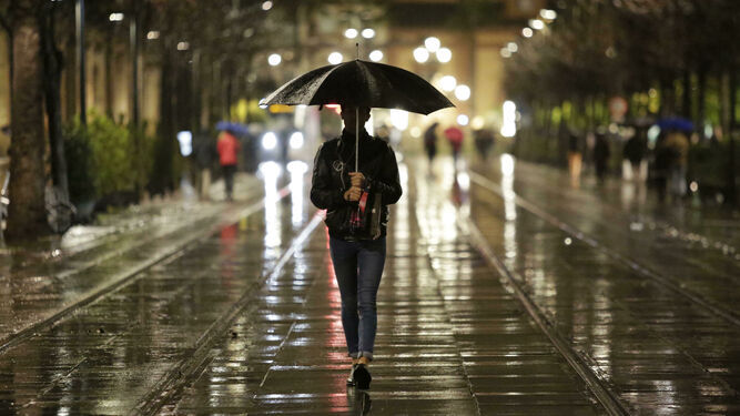 Una persona se protege con un paraguas de la lluvia.