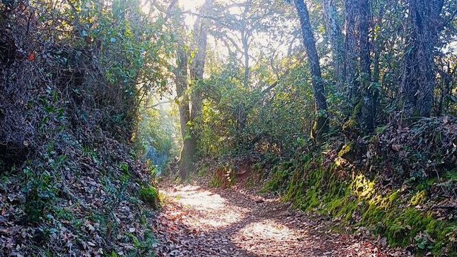Descubre este sendero de leyenda en Huelva que recorre el "Valle de la Novia"