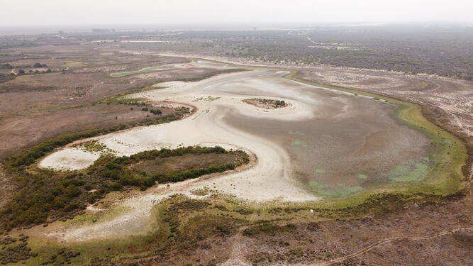Santa Olalla, la laguna más grande de Doñana, se seca