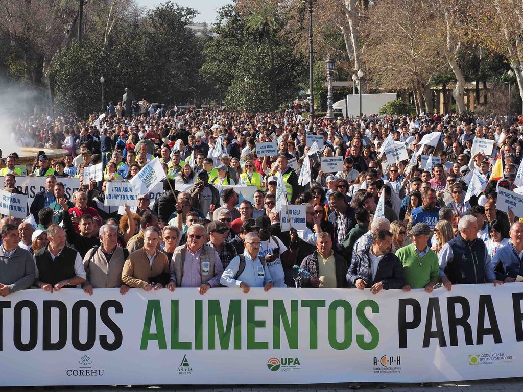 Las mejores im&aacute;genes de la manifestaci&oacute;n de los agricultores de Huelva en Sevilla