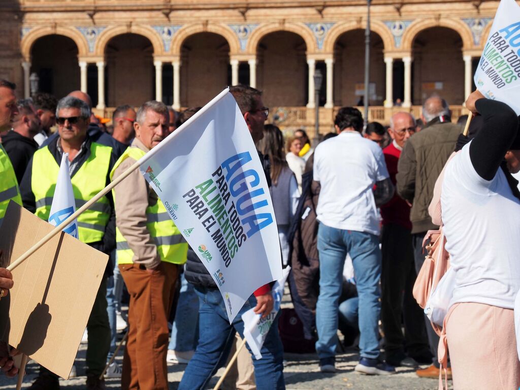 Las mejores im&aacute;genes de la manifestaci&oacute;n de los agricultores de Huelva en Sevilla