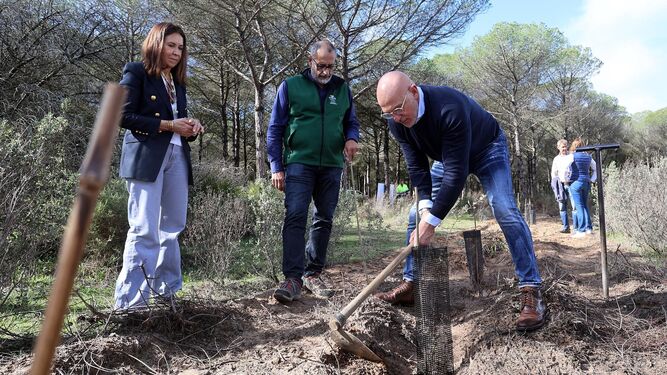 Luis de la Fuente, seleccionador nacional, planta un árbol en Doñana.