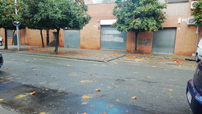 Naranjas esparcidas en una calle de Huelva.