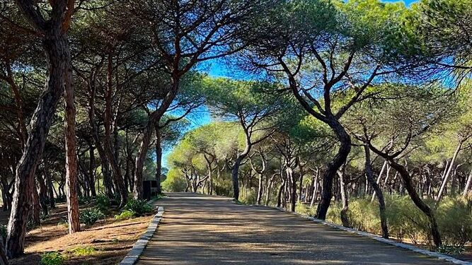 El precioso sendero que recorre la costa occidental de Huelva