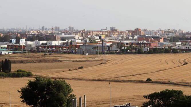 Terreno del Plan Parcial San Antonio-Montija de Huelva.