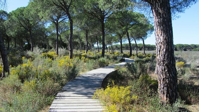 El lugar imprescindible de Huelva que hay que conocer en el Día de Andalucía