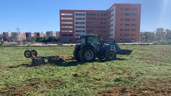 Culminan la limpieza del 40% de solares públicos de Huelva incluidos en el dispositivo municipal